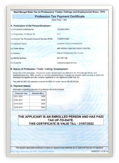 Professional Tax Document